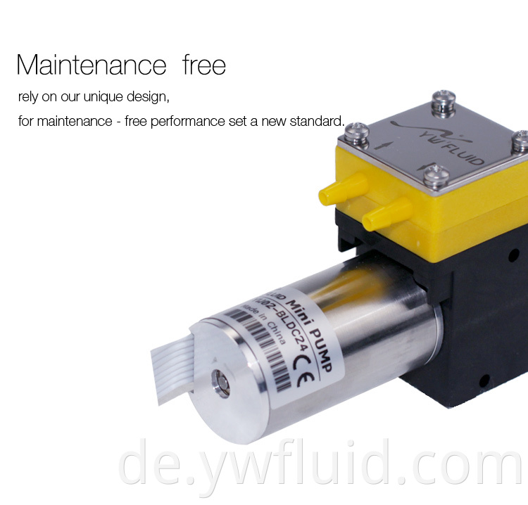 Mikro-Doppelkopf-Bldc-bürstenloser Luftwassermembranpumpe mit 12 V/24 V gute Qualität